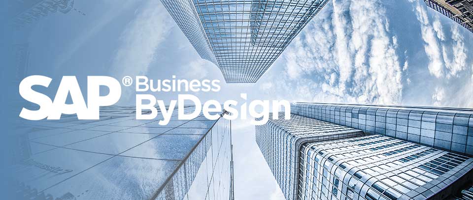 Business ByDesign Case Studies