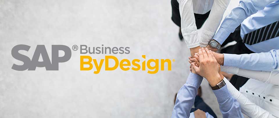 We Are The Business ByDesign Experts