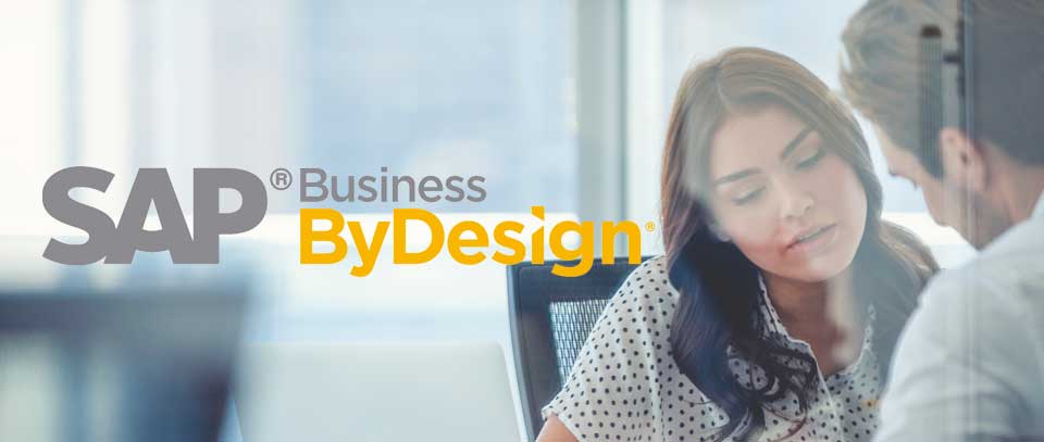 SAP Business ByDesign Demo